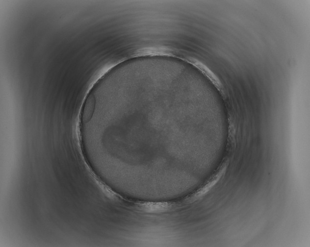 X0000111440893200908101012