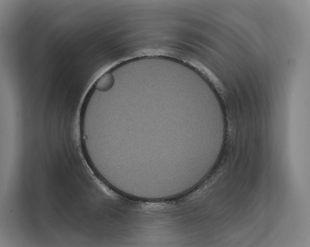 X0000111440894200908101012