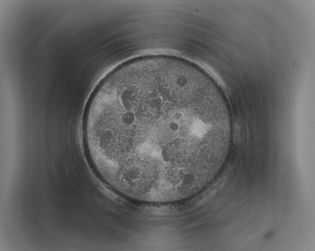 X0000111440895200908101012