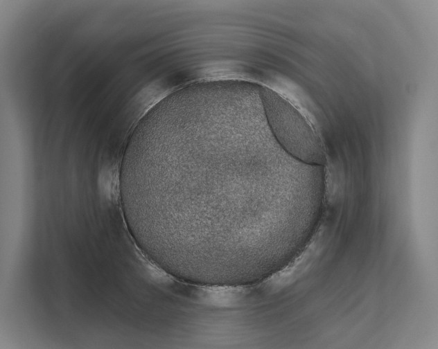 X0000111440897200908101012