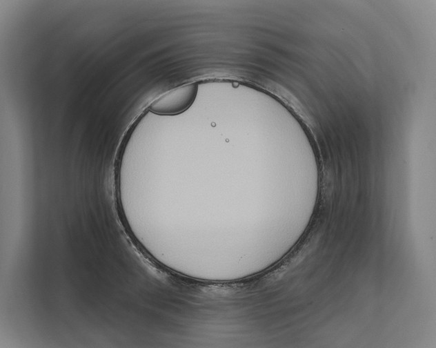 X0000111440898200908101012