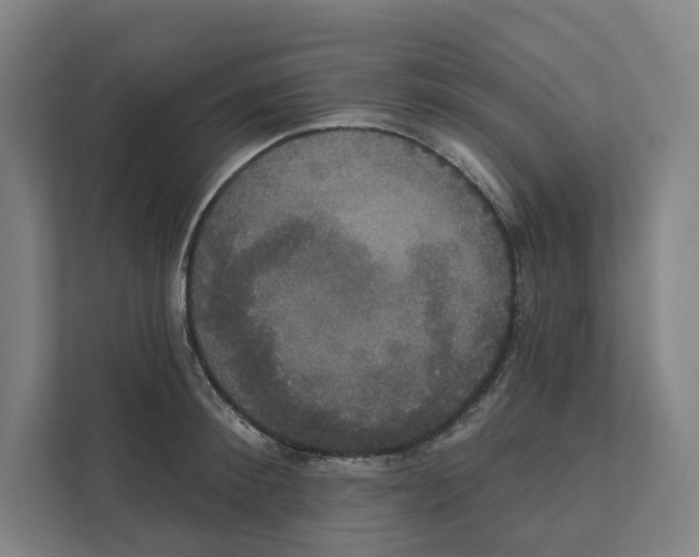 X0000111440900200908101012