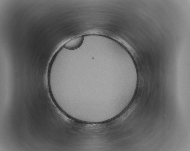 X0000111440902200908101012