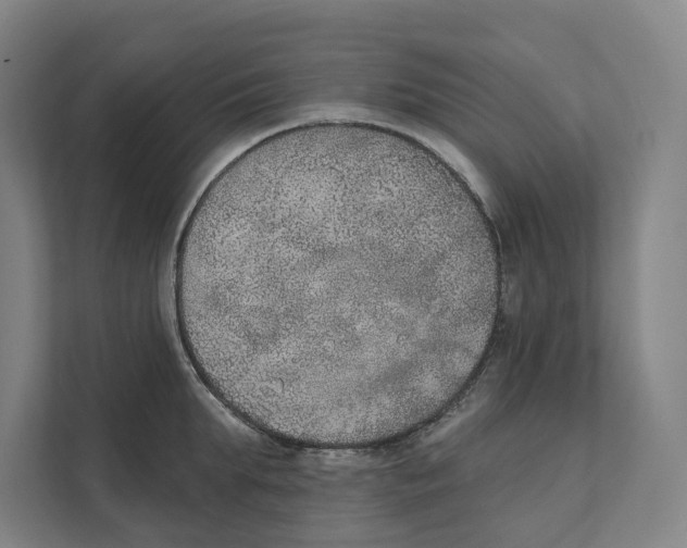 X0000111440903200908101012