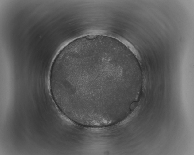 X0000111440904200908101012