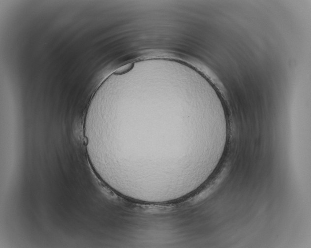 X0000111440905200908101012