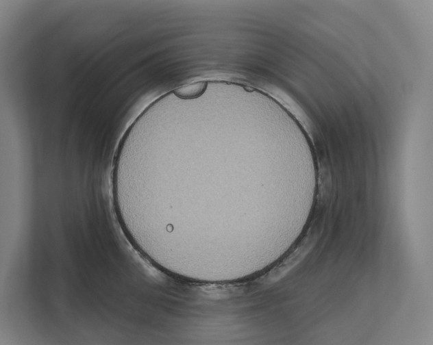 X0000111440906200908101012