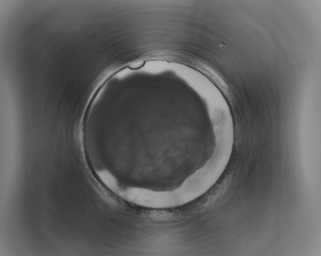 X0000111440907200908101012