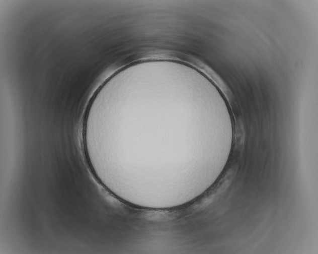 X0000111440909200908101012