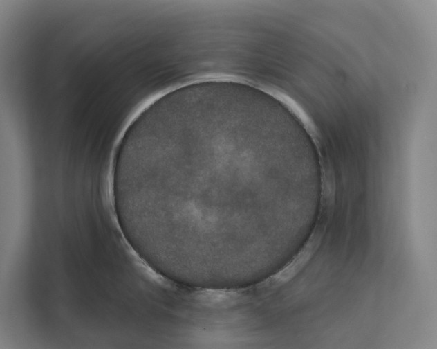 X0000111440910200908101012