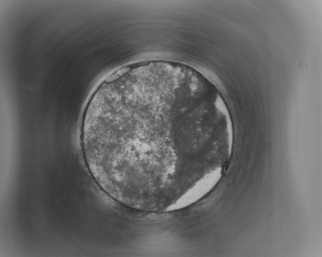 X0000111440912200908101012