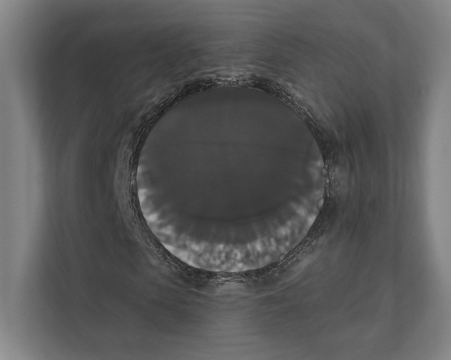 X0000111440913200908101011