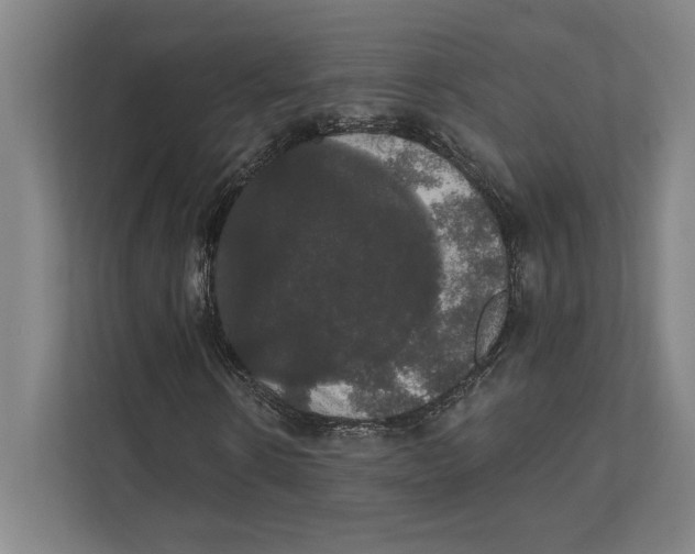 X0000111440914200908101011