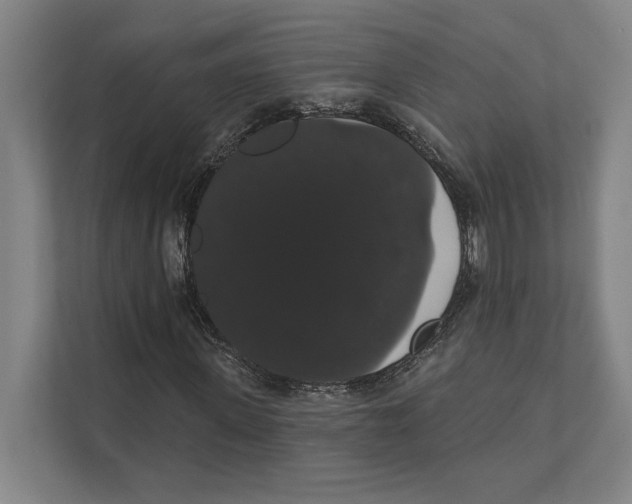 X0000111440915200908101011