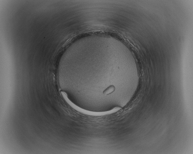 X0000111440916200908101011