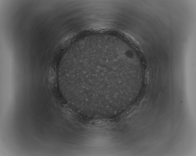 X0000111440917200908101011