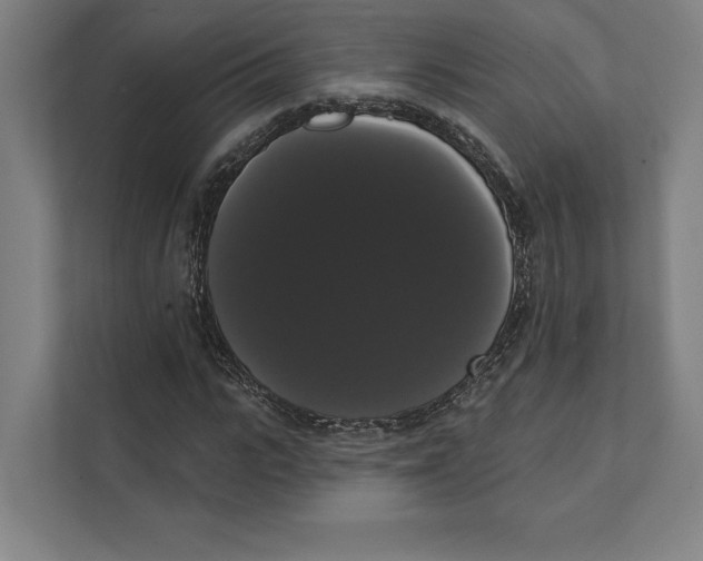 X0000111440919200908101011