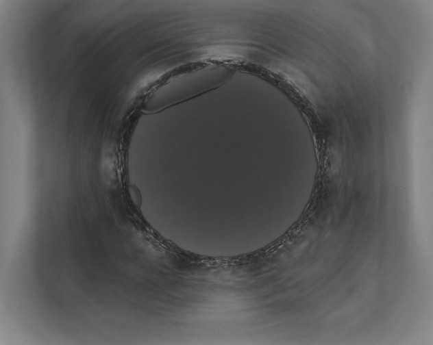 X0000111440920200908101011