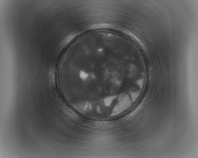 X0000111440921200908101011