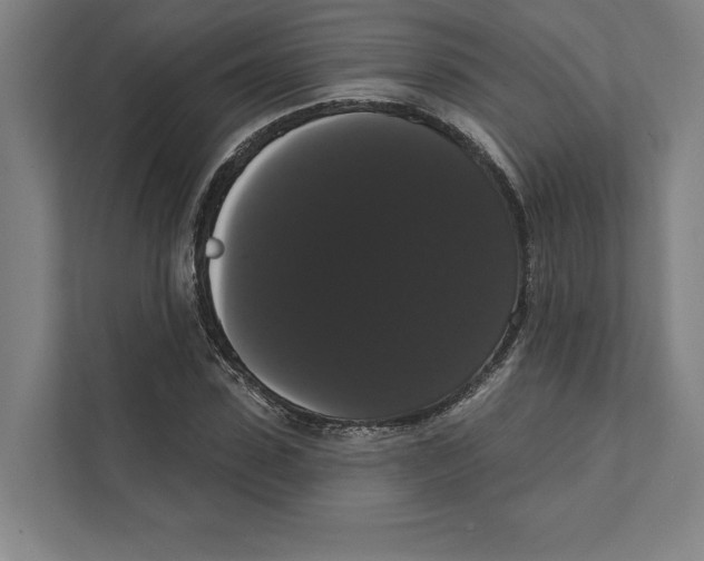 X0000111440923200908101011