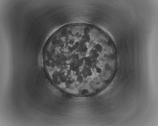 X0000111440925200908101011