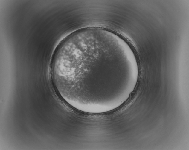 X0000111440928200908101011