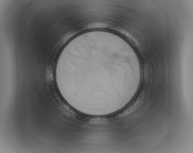 X0000111440929200908101011