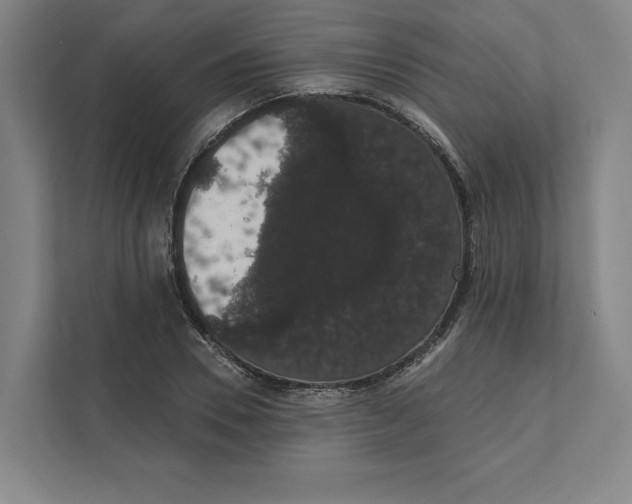 X0000111440930200908101011