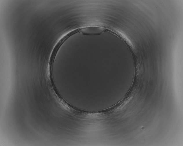 X0000111440932200908101012