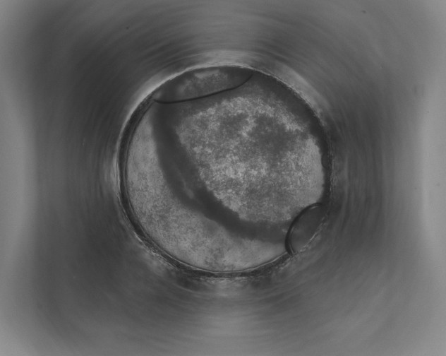 X0000111440936200908101012