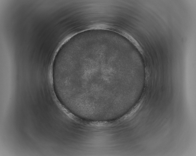 X0000111440939200908101012