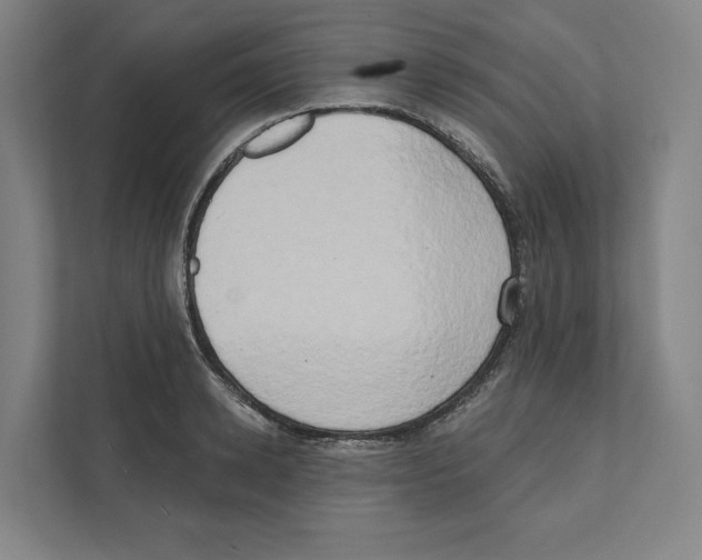 X0000111440942200908101012