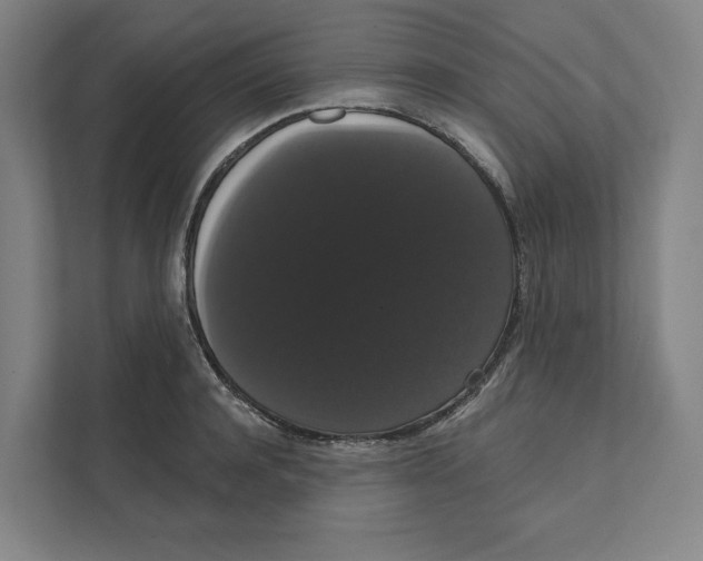 X0000111440944200908101012