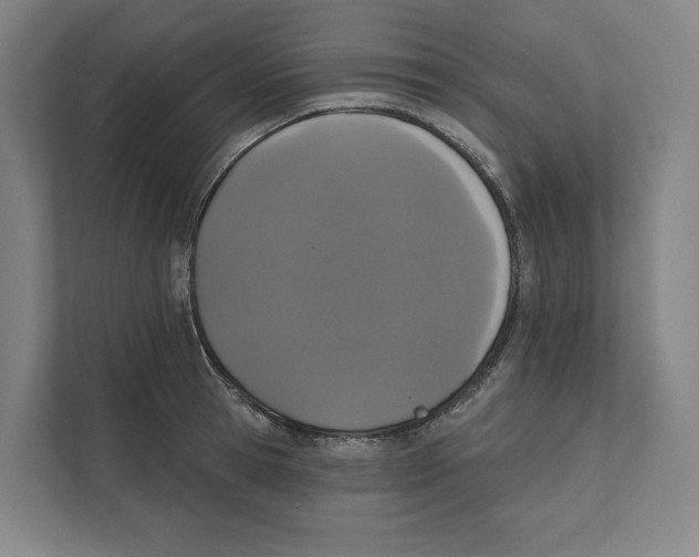 X0000111440945200908101012