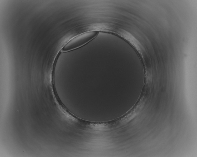 X0000111440946200908101012