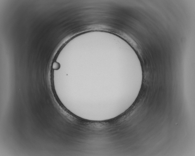 X0000111440947200908101012