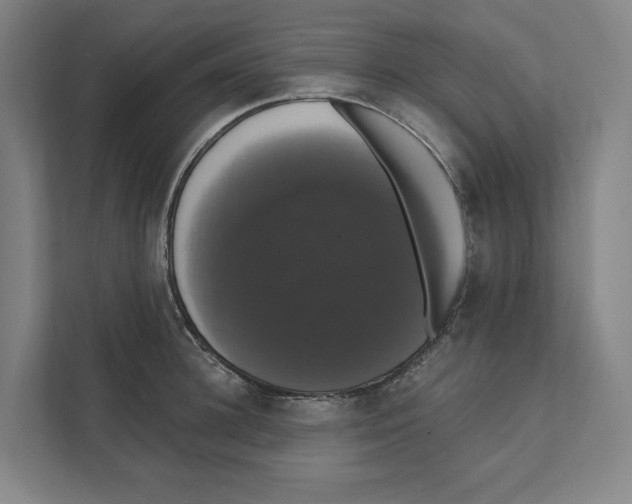 X0000111440948200908101012