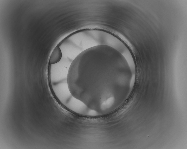 X0000111440951200908101012