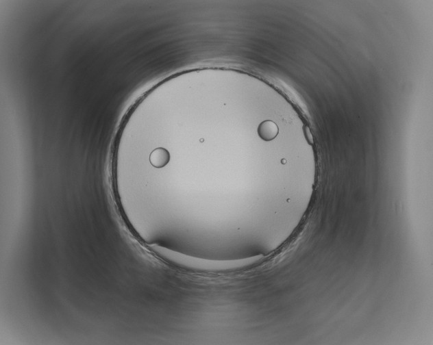 X0000111440952200908101012