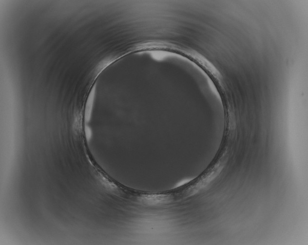 X0000111440953200908101012