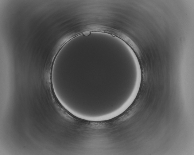 X0000111440954200908101012