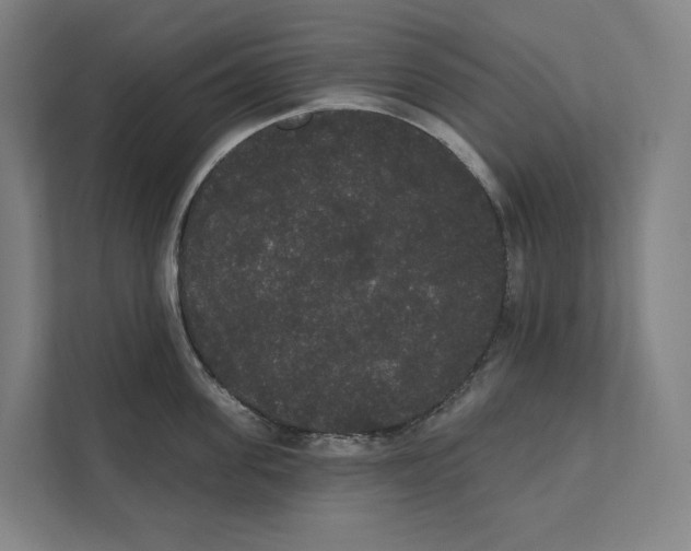 X0000111440955200908101012