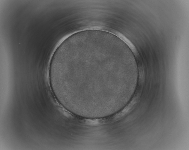 X0000111440956200908101012