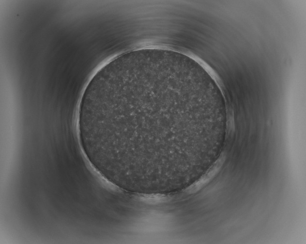 X0000111440957200908101012