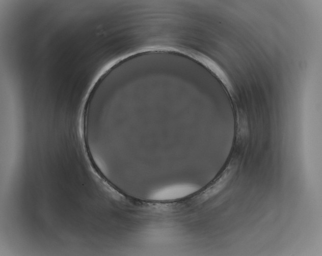 X0000111440958200908101012