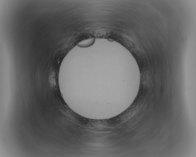 X0000111440962200908101011