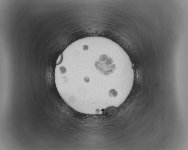 X0000111440963200908101011