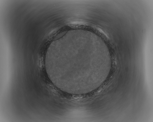 X0000111440965200908101011