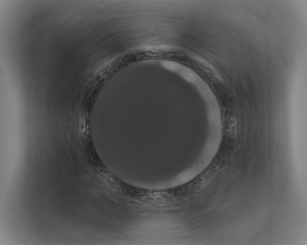 X0000111440966200908101011