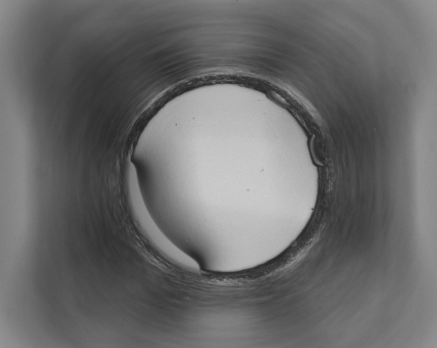 X0000111440969200908101011